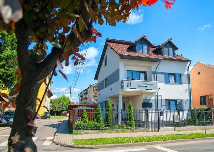 Vila Roza Sighetu Marmaţiei